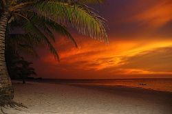 Roatan, Honduras. by Shawn Jackson 